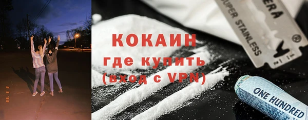 мдпв Вяземский