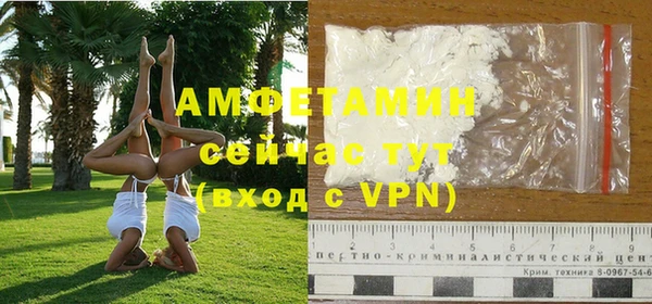 мдпв Вяземский