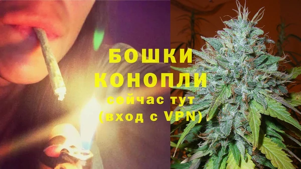 мдпв Вяземский