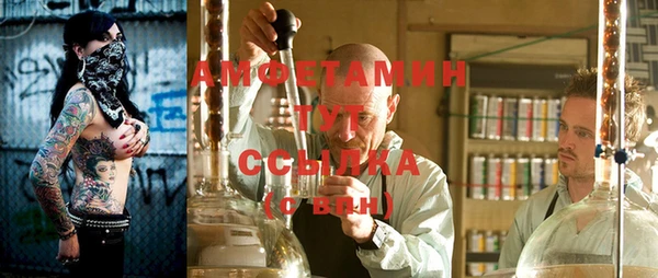 мдпв Вяземский