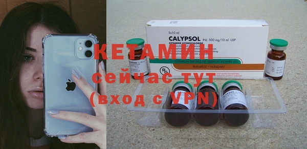мдпв Вяземский