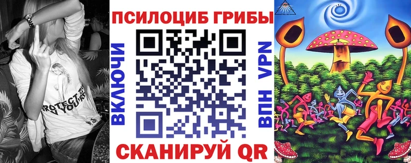 OMG как войти  как найти закладки  Можайск  Галлюциногенные грибы Psilocybine cubensis 