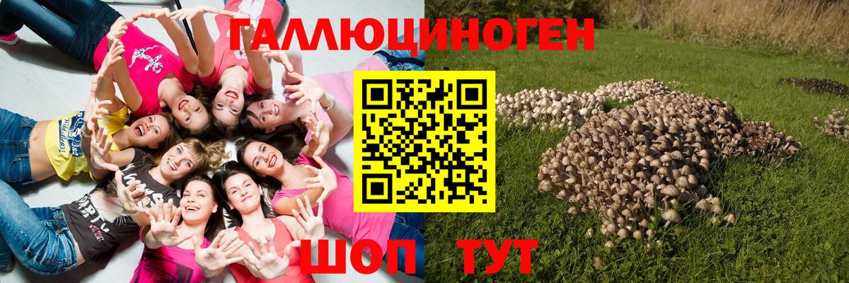 МЕФ Можайск