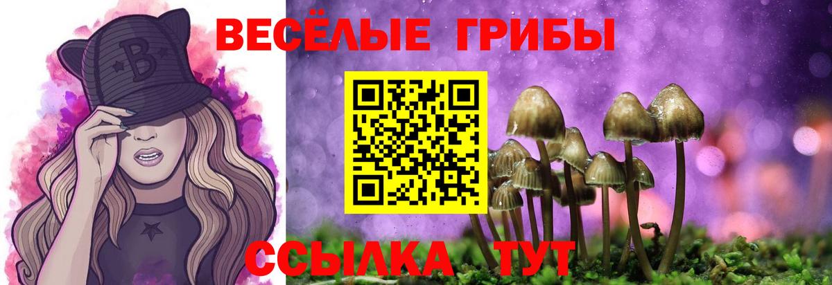 Галлюциногенные грибы ЛСД Можайск