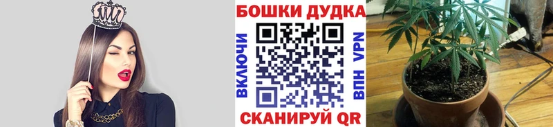 Каннабис планчик Можайск